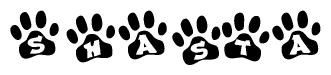 The image shows a series of animal paw prints arranged in a horizontal line. Each paw print contains a letter, and together they spell out the word Shasta.