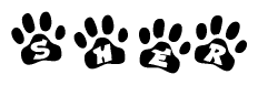 The image shows a series of animal paw prints arranged in a horizontal line. Each paw print contains a letter, and together they spell out the word Sher.