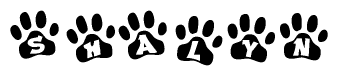 The image shows a series of animal paw prints arranged in a horizontal line. Each paw print contains a letter, and together they spell out the word Shalyn.