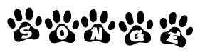 Animal Paw Prints with Songe Lettering