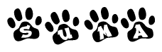 The image shows a series of animal paw prints arranged in a horizontal line. Each paw print contains a letter, and together they spell out the word Suma.