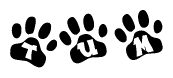 The image shows a series of animal paw prints arranged horizontally. Within each paw print, there's a letter; together they spell Tum