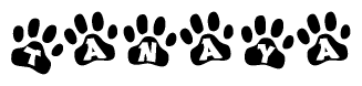 The image shows a series of animal paw prints arranged in a horizontal line. Each paw print contains a letter, and together they spell out the word Tanaya.