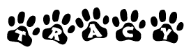 The image shows a row of animal paw prints, each containing a letter. The letters spell out the word Tracy within the paw prints.