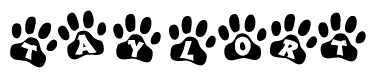 The image shows a row of animal paw prints, each containing a letter. The letters spell out the word Taylort within the paw prints.