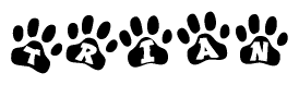 The image shows a series of animal paw prints arranged horizontally. Within each paw print, there's a letter; together they spell Trian