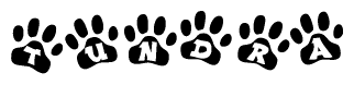 The image shows a series of animal paw prints arranged in a horizontal line. Each paw print contains a letter, and together they spell out the word Tundra.