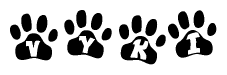 The image shows a series of animal paw prints arranged in a horizontal line. Each paw print contains a letter, and together they spell out the word Vyki.