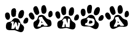 The image shows a series of animal paw prints arranged horizontally. Within each paw print, there's a letter; together they spell Wanda