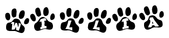 The image shows a series of animal paw prints arranged in a horizontal line. Each paw print contains a letter, and together they spell out the word Willia.