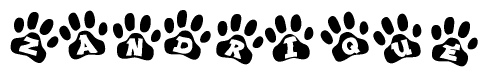 The image shows a row of animal paw prints, each containing a letter. The letters spell out the word Zandrique within the paw prints.