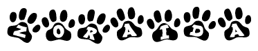 The image shows a row of animal paw prints, each containing a letter. The letters spell out the word Zoraida within the paw prints.