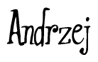 The image contains the word 'Andrzej' written in a cursive, stylized font.
