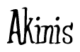 The image is a stylized text or script that reads 'Akinis' in a cursive or calligraphic font.