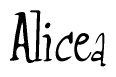 The image contains the word 'Alicea' written in a cursive, stylized font.