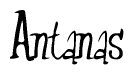 The image is a stylized text or script that reads 'Antanas' in a cursive or calligraphic font.