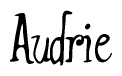 The image is a stylized text or script that reads 'Audrie' in a cursive or calligraphic font.
