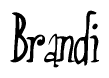 The image is of the word Brandi stylized in a cursive script.