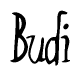 The image contains the word 'Budi' written in a cursive, stylized font.