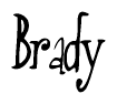 The image contains the word 'Brady' written in a cursive, stylized font.