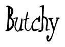 The image contains the word 'Butchy' written in a cursive, stylized font.