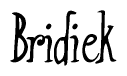 The image is a stylized text or script that reads 'Bridiek' in a cursive or calligraphic font.