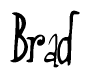 The image is a stylized text or script that reads 'Brad' in a cursive or calligraphic font.