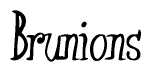 The image is of the word Brunions stylized in a cursive script.