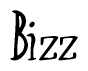 The image is of the word Bizz stylized in a cursive script.