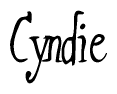 The image contains the word 'Cyndie' written in a cursive, stylized font.