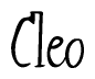 The image is of the word Cleo stylized in a cursive script.