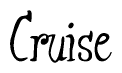 The image is of the word Cruise stylized in a cursive script.