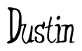 The image is a stylized text or script that reads 'Dustin' in a cursive or calligraphic font.