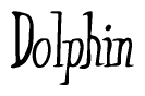 The image is of the word Dolphin stylized in a cursive script.