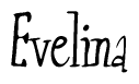 The image is a stylized text or script that reads 'Evelina' in a cursive or calligraphic font.