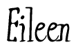The image is of the word Eileen stylized in a cursive script.