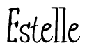 The image is of the word Estelle stylized in a cursive script.