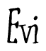 The image is of the word Evi stylized in a cursive script.