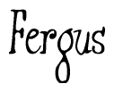 The image is of the word Fergus stylized in a cursive script.