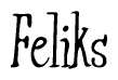 The image is of the word Feliks stylized in a cursive script.
