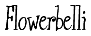 The image is of the word Flowerbelli stylized in a cursive script.