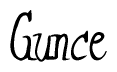 The image is of the word Gunce stylized in a cursive script.