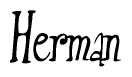 The image contains the word 'Herman' written in a cursive, stylized font.