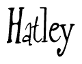 The image is of the word Hatley stylized in a cursive script.