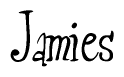 The image is of the word Jamies stylized in a cursive script.