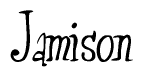 The image is a stylized text or script that reads 'Jamison' in a cursive or calligraphic font.