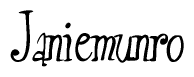 The image is of the word Janiemunro stylized in a cursive script.