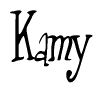 The image is a stylized text or script that reads 'Kamy' in a cursive or calligraphic font.