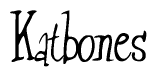 The image is of the word Katbones stylized in a cursive script.