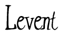 The image contains the word 'Levent' written in a cursive, stylized font.